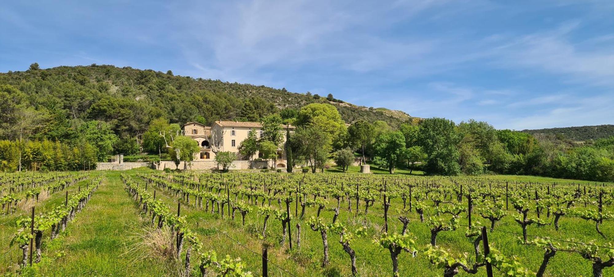 La Bastide De Peyremale, Gites En Cevennes, Piscine, Tennis Bagard Exterior foto